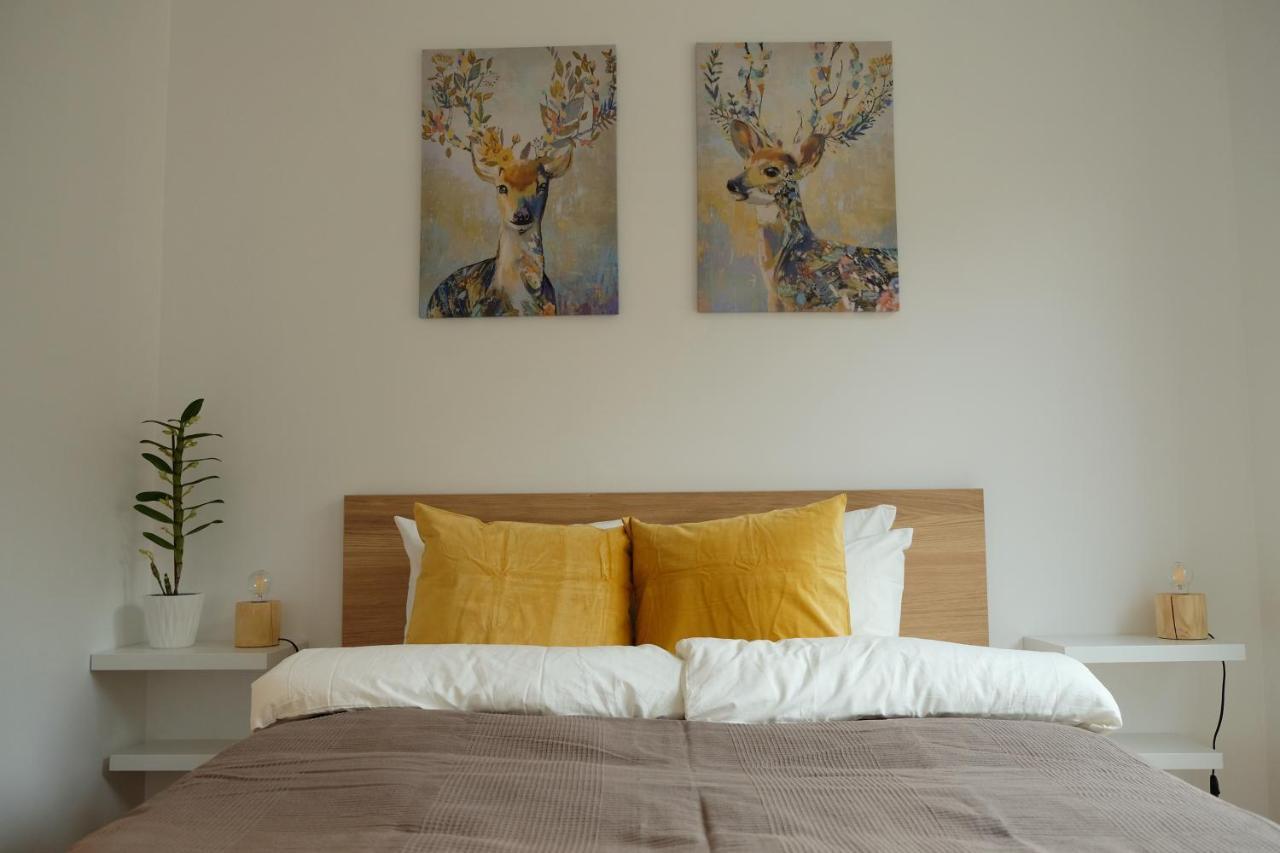 Apartamenty Rebergen W Kompleksie Apartamenty Piano Świeradów-Zdrój Exteriér fotografie
